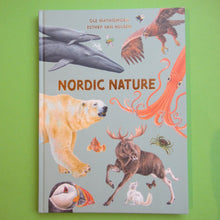 Last inn bildet i Galleri-visningsprogrammet, Nordic nature