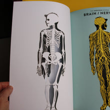 Last inn bildet i Galleri-visningsprogrammet, Anatomy: A cutaway look inside the human body