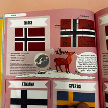 Load image into Gallery viewer, Flagg og kart