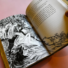Load image into Gallery viewer, Brødrene Løvehjerte
