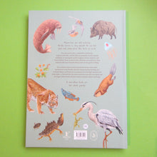 Last inn bildet i Galleri-visningsprogrammet, Nordic nature
